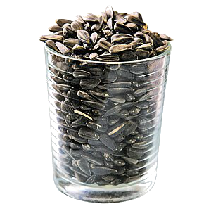 Sunflower seeds PNG-42935